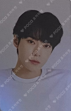 2022 SEASON'S GREETINGS ALADIN
