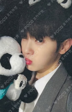 You had me at HELLO SOLAR ver. APPLEMUSIC