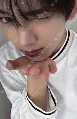 You had me at HELLO Plus Chat Shop