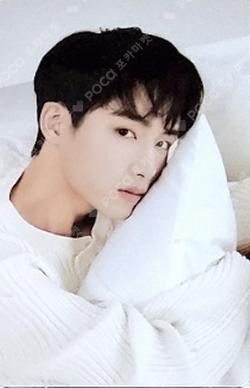 2022 SEASON'S GREETINGS SYNNARA RECORD WINWIN photocard image