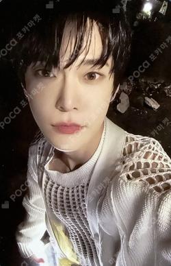 NCT DOYOUNG photocard image