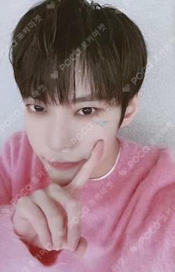NCT DOYOUNG photocard image