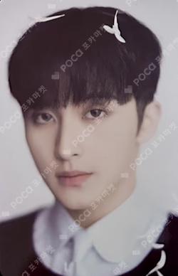 DREAM( )SCAPE ZONE RANDOM TRADING CARD SET icantfeelanything ver.