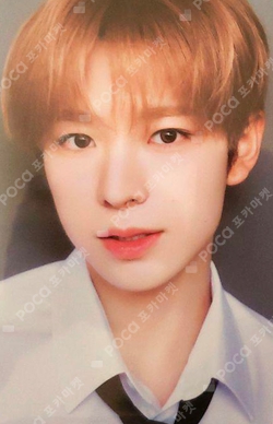 Pocamarket, NCT YUSHI NCT WISH : SCHOOL of WISH FORTUNE SCRATCH K