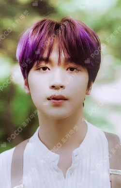 DREAM A DREAM ver.1
