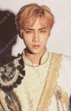 PHOTO STORY BOOK [Bad Alive]