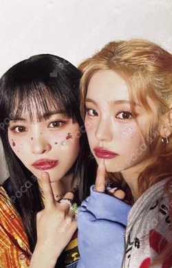 Algorhythm Limited Edition