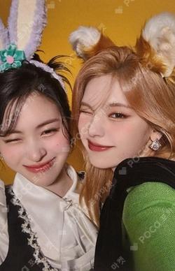 Algorhythm TOWER RECORDS LUCKY DRAW