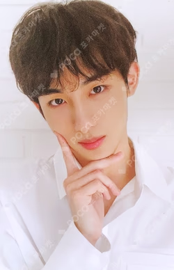 WayV Photo Book Holiday FLIP BOOK + PHOTO CARD SET