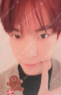 NCT DOYOUNG photocard image