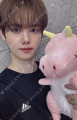 EVERSHINE APPLEMUSIC