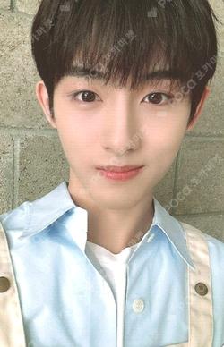 2024 SEASON'S GREETINGS RANDOM TRADING CARD