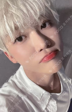 Moonlight TOWER RECORDS