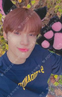 2024 ONE PACT SEASON'S GREETINGS ‘YEAR OF THE PACK’ Hellolive shop