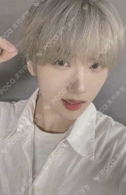 Moonlight WEVERSE JAPAN