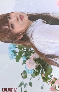 COLOR*IZ KIHNO Album ver