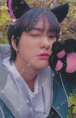 2024 ONE PACT SEASON'S GREETINGS ‘YEAR OF THE PACK’ Hellolive shop