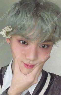 Moment POCAABLUM TAG photocard image