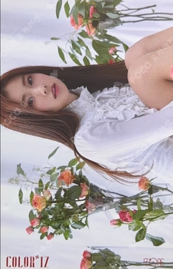 COLOR*IZ KIHNO Album ver