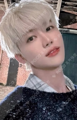 Moonlight WEVERSE JAPAN