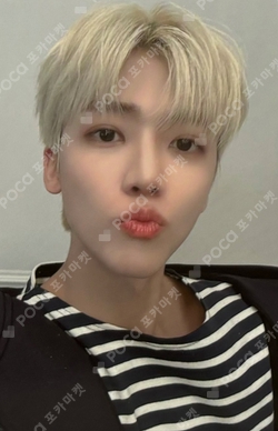 Pocamarket, NCT JAEMIN DREAM( )SCAPE MUSIC KOREA K-pop Photocard