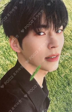 ZEROBASEONE POP-UP in GANGNAM PVC PHOTO HOLDER