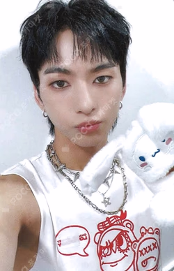 Troubleshooting WHOSFAN LUCKY DRAW