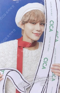 NATURE REPUBLIC CICA WONDERLAND