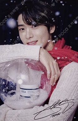 NATURE REPUBLIC CICA WONDERLAND