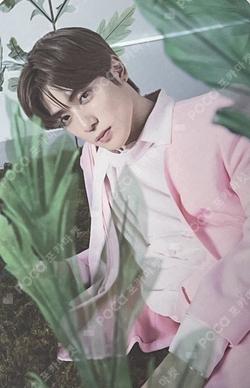 NATURE REPUBLIC HERBOLOGY