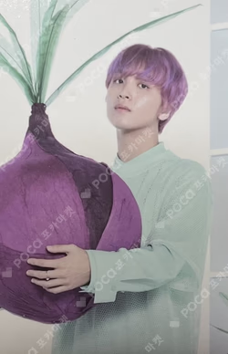 NATURE REPUBLIC HERBOLOGY