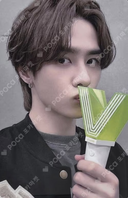 OFFICIAL FANLIGHT