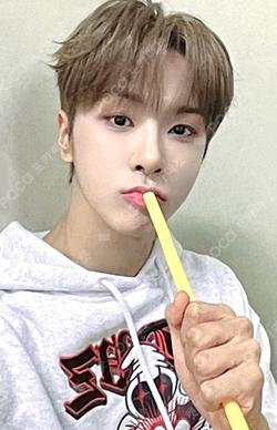 NEW CHAPTER : LUCEAT INTERASIA YOOJUN photocard image