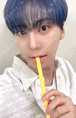 NEW CHAPTER : LUCEAT INTERASIA