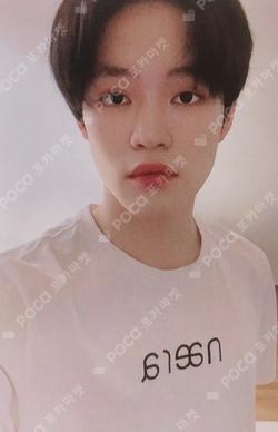 NCT CHENLE photocard image