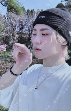 Give Me That DEAR MY MUSE KUN photocard image