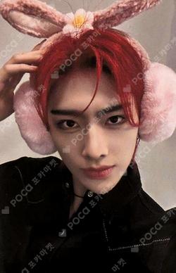 You had me at HELLO StarRiver RICKY photocard image