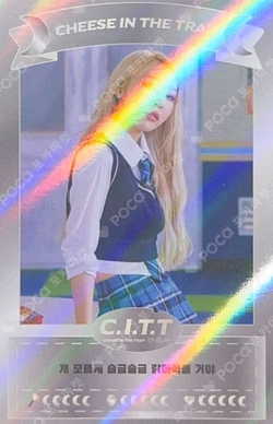C.I.T.T (Cheese in the Trap) LIMITED PHOTO CARD
