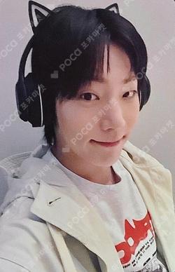 BEAUTIFUL SHADOW SOUND WAVE