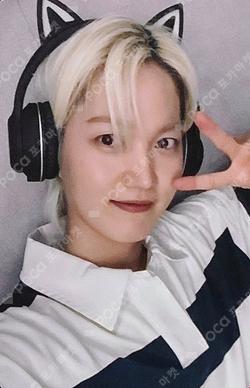 BEAUTIFUL SHADOW SOUND WAVE