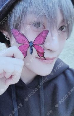 Give Me That DEAR MY MUSE YANGYANG photocard image