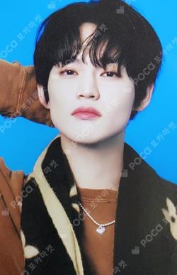 Candy MITTENS + PHOTO CARD SET