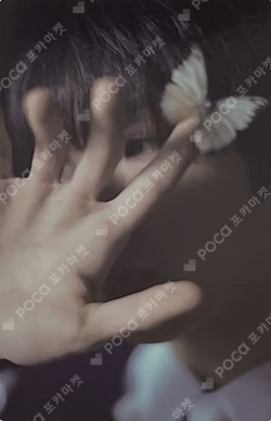 DREAM( )SCAPE QQ MUSIC