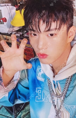 HARMONY : SET IN GROW IN VER.