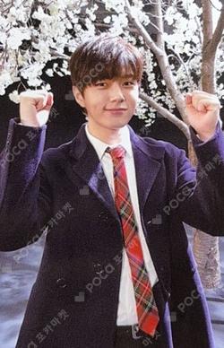 TOP SEED L photocard image