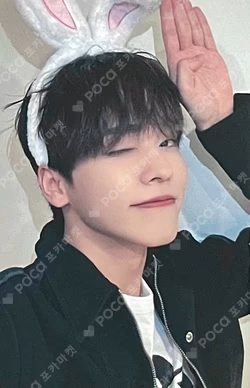 BEAUTIFUL SHADOW fromm store