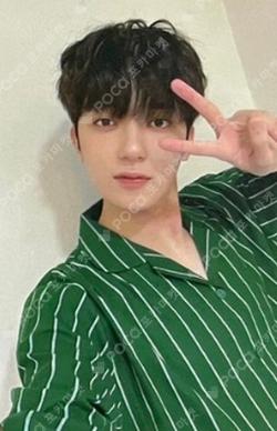 LOVE ME LIKE DEAR MY MUSE YECHAN photocard image