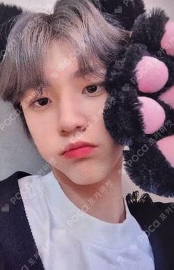 NEW TOMORROW MAKESTAR