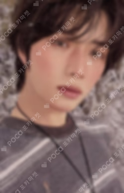 CHIKAI Standard Edition