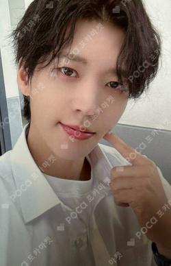 Sunshine : The Special Present For WHITREE (Arbor Day 3 Live Ver.) MUSICART